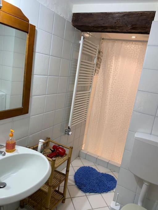 Calle Dei Furlani - Con Cortile Apartamento Venecia